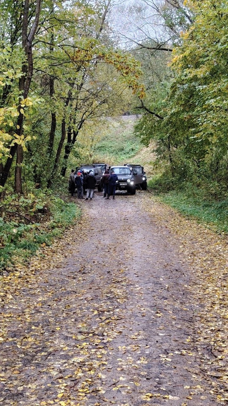 Klubo kolona miško kelyje
